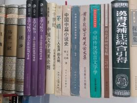 二十世纪中国文学流派论纲