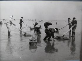 改革开放初期影展照片——渤海滩的姑娘
