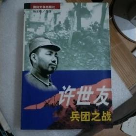 许世友兵团之战