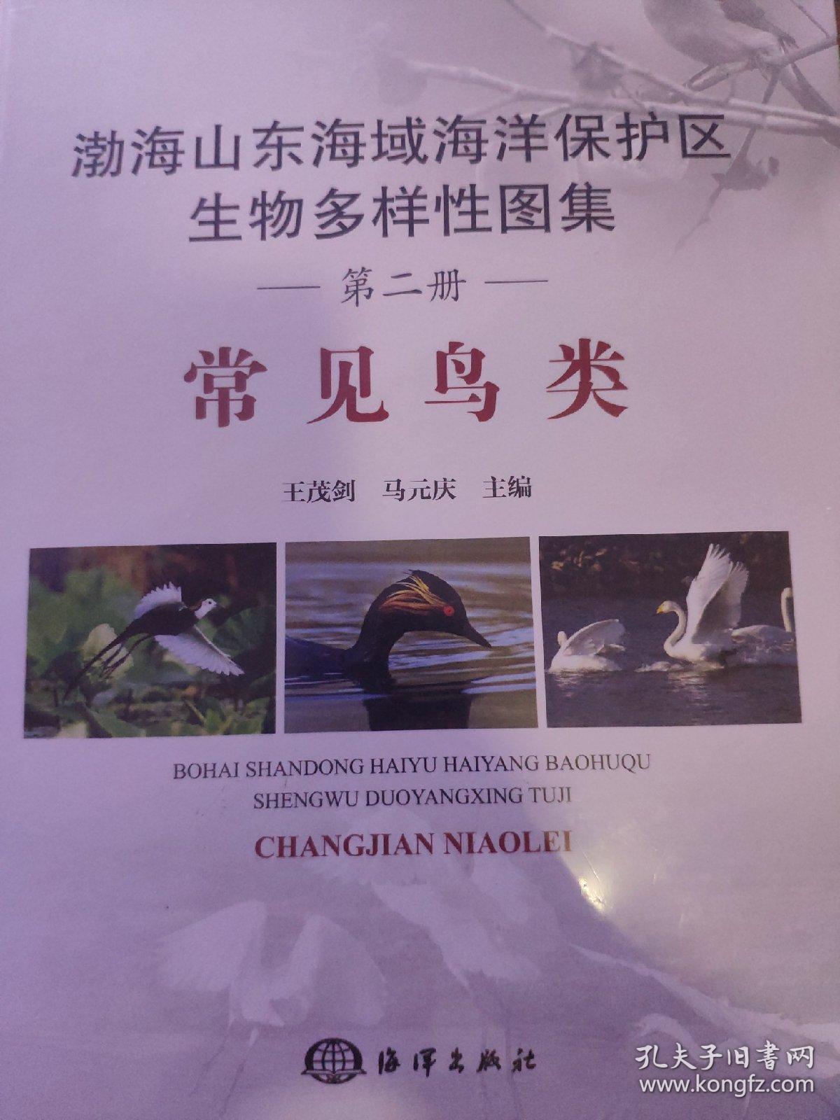 渤海山东海域海洋保护区生物多样性图集——常见鸟类