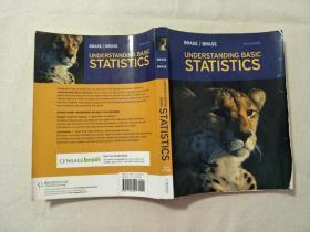 UNDERSTANDING BASIC STATISTICS