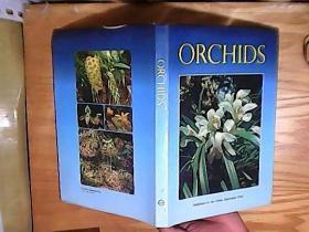 ORCHIDS（兰花图集）英文版精装