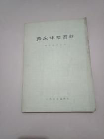 临床体检图解