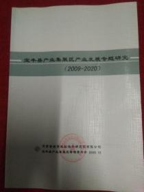 宝丰县产业集聚区产业发展专题研究2009-2020