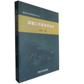 煤矿生产实用技术丛书：综掘工作面实用技术