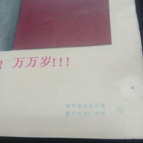 八开毛主席画片（伟大的导师，伟大的领袖毛主席万岁！万岁万万岁）五张