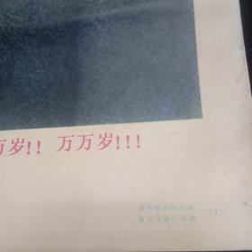 八开毛主席画片（伟大的导师，伟大的领袖毛主席万岁！万岁万万岁）五张