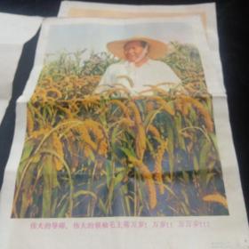 八开毛主席画片（伟大的导师，伟大的领袖毛主席万岁！万岁万万岁）五张