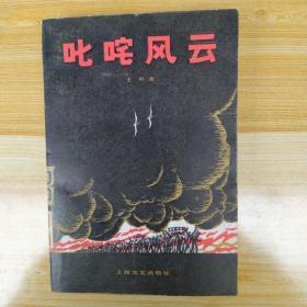 叱咤风云(描写西安事变历史小说)