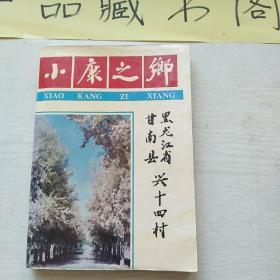 小康之家（黑龙江省甘南县兴十四村）