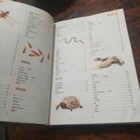 中国少年儿童百科全书（动物世界.地球大观.宇宙星空）