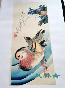 鸳鸯《安藤广重笔 花鸟大短冊撰》其五 安达版画研究院复刻 日本浮世绘经典