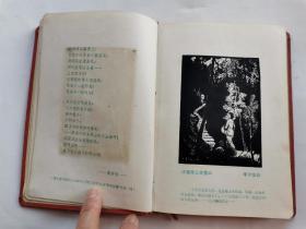 60年代笔记本:红岩日记[内一诗(共22首),一画(共22幅)]布面精装36开