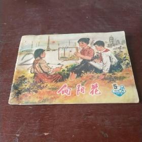 向阳花1978年第5期