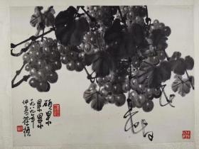 苏葆桢    尺寸   46/35  镜片
(1916.5—1990.6)，著名国画家，师从徐悲鸿、张书旂、傅抱石等大家，江苏省宿迁市埠子镇苏圩村人。西南大学教授（原西南师范大学）， 硕士生导师 ，原重庆国画院副院长。其父系清末秀才，开办私塾教书，喜书画。