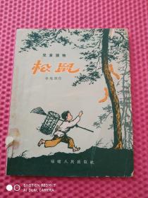 儿童读物  松鼠 1958年1版1印   福建人民出版社仅印1590冊