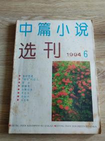 中篇小说选刊 1994.6