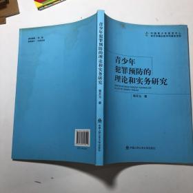 青少年犯罪预防的理论和实务研究