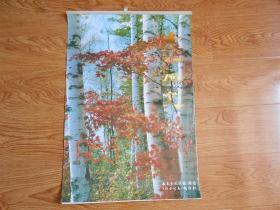 1988年挂历 吉林风光下边有吉林宣传小图