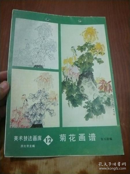 美术技法画库 12 菊花画谱