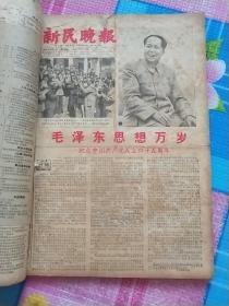 新民晚报66年7月合订本