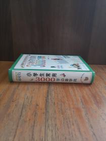 彩图小学生常用3000字必备字典