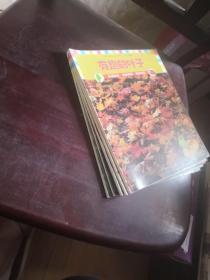 亲亲自然系列丛书：有趣的叶子、小狗狗长大了、草莓、蝴蝶、小瓢虫  （5本合售）