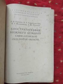 би остратиграфия нижнего кембрия 寒武纪的地层