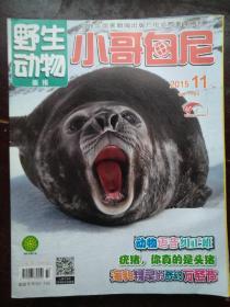 野生动物.小哥白尼2015/11