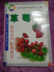 草莓周年生产配套技术—蔬菜周年生产配套技术丛书