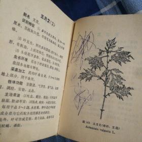 常用中草药手册