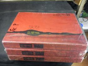 红楼梦王蒙评点（增补版）（共三册） 9品略旧