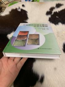 早期胃癌内镜诊断的方法与策略
