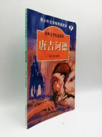 中外文学作品赏析丛书：堂吉柯德