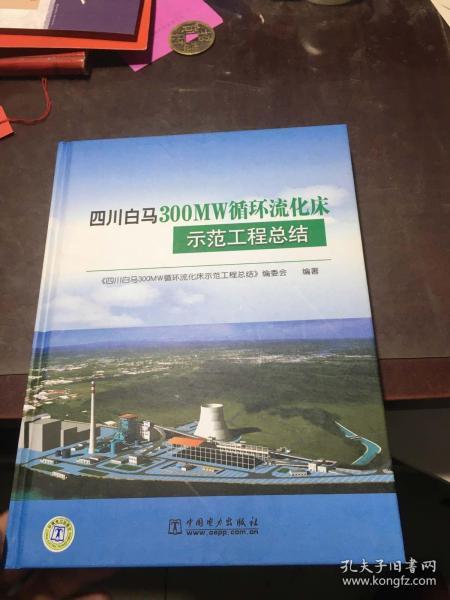 四川白马300MW循环流化床示范工程总结