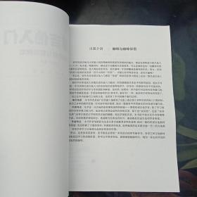 民谣吉他入门：知识详解与精彩弹唱