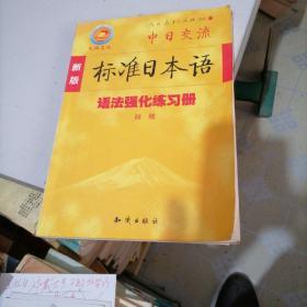 新版标准日本语一一语法强化练习册