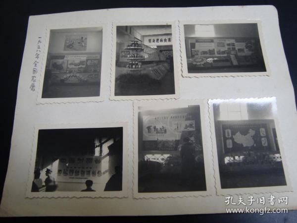 老照片  1958年全国农业展览   照片  六张合售