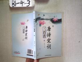 唐詩宋詞三百首（三）