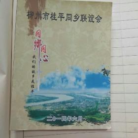 柳州市桂平同乡联谊会