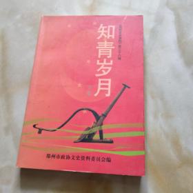 郑州文史资料  第二十八辑 【知青岁月】（下册）