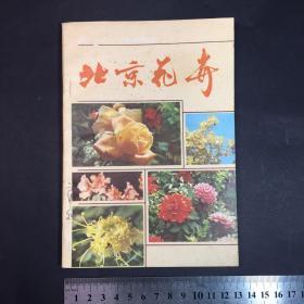 北京花卉