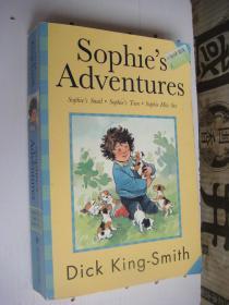 Sophie's Adventures  英文原版 少儿插绘本 较厚