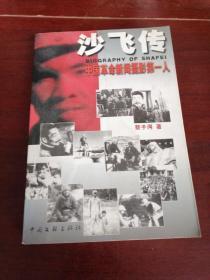 沙飞传