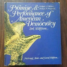 promise and performance of american democracy