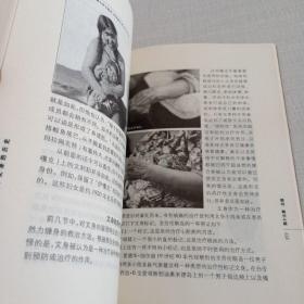 文身的历史