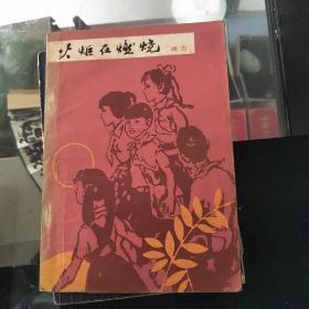 火炬在燃烧 品如图