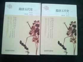 中国大历史——隋唐五代史（套装上、下册）（第2版）