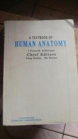 人体解剖学 HUMAN ANATOMY