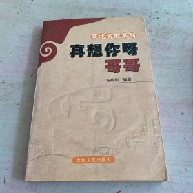 陕北民歌系列——真想你呀  哥哥
